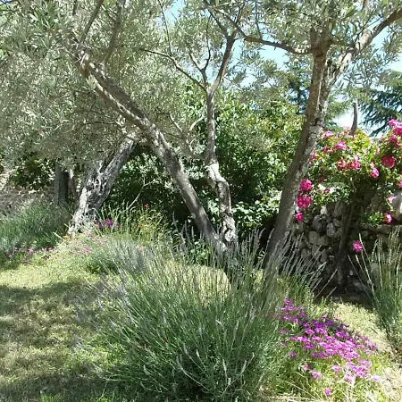 Gite L'Escoussou Dans Veritable Mas En Pierres, 6 Pers, 4Ch, 120M2, Charme, Nature, Piscine Chauffee, Sud Ardeche Guest house Joyeuse